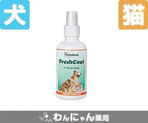 フレッシュコート