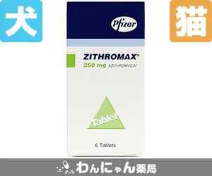 ジスロマック錠